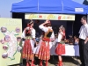 dozynki-powiatowe-i-targi-gospodarcze-105