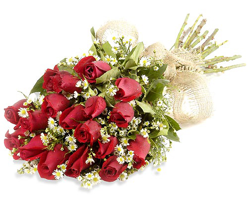 roses 2 Życzenia od Samorządu Gminy Dąbrowa Tarnowska na Dzień Edukacji Narodowej