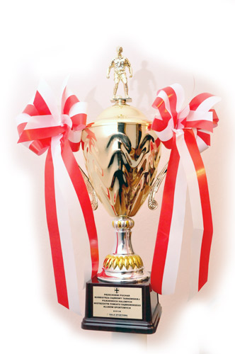 Puchar PHMPDKS 2013 Piłkarskie Halowe Mistrzostwa Powiatu Dąbrowskiego Klubów Sportowych już jutro