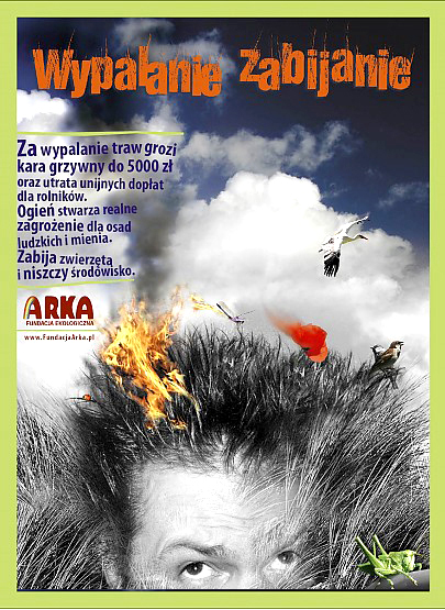 wypalanie big Nie wypalaj traw !!!