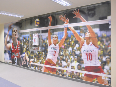 Hala Sportowa im Agaty Mroz Olszewskiej w Dabrowie Tarnowskiej 1 Agata Mróz Olszewska odeszła 5 lat temu