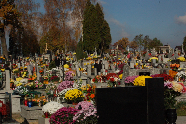 cemetery1 Uroczystość Wszystkich Świętych i Dzień Zaduszny