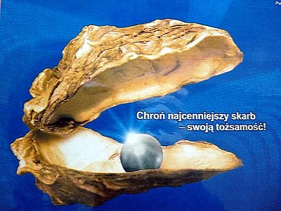 muszla Nie pozwól na kradzież tożsamości   chroń swoje dane osobowe