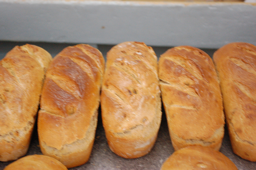 1 DSC 4000 Piekarnia Zdanowskich z Dąbrowy Tarnowskiej zwycięzcą plebiscytu Gazety Krakowskiej