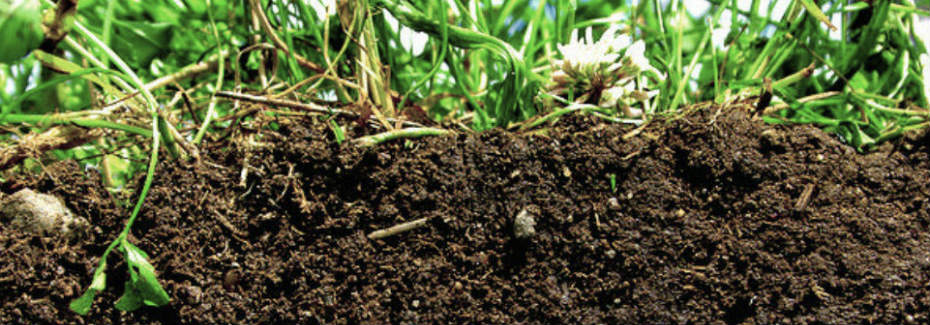 healthy soil2 930x3251 Badania pH gleby w Małopolsce