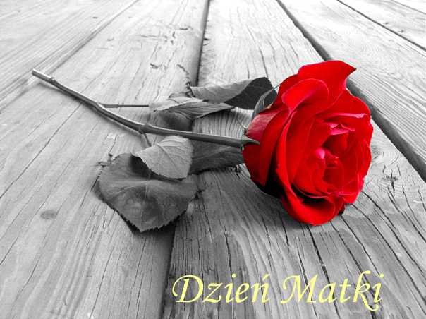 DzienMatki 26 maja Dniem Matki