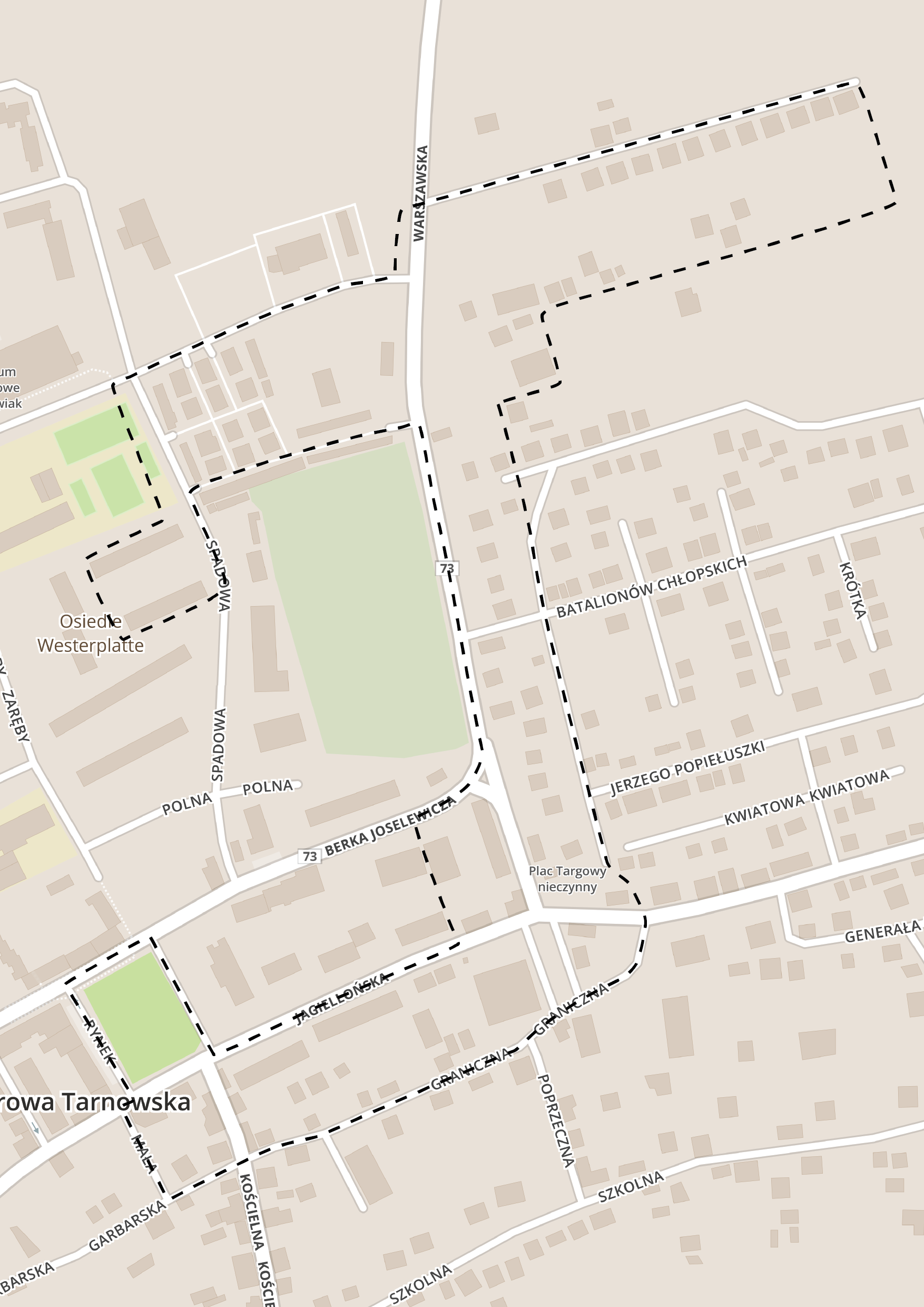 Centrum miasta Rewitalizacja w Regionalnym Programie Operacyjnym Województwa Małopolskiego (RPO WM)