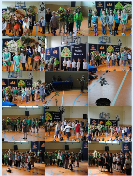 Swieto drzewa PSP2 2016 Dzień Drzewa w dąbrowskiej Dwójce
