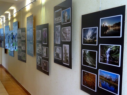 „Natura zatrzymana w obiektywie” – wystawa fotografii Andrzeja Bzduły. IMG 8578 „Natura zatrzymana w obiektywie” – wystawa fotografii Andrzeja Bzduły.