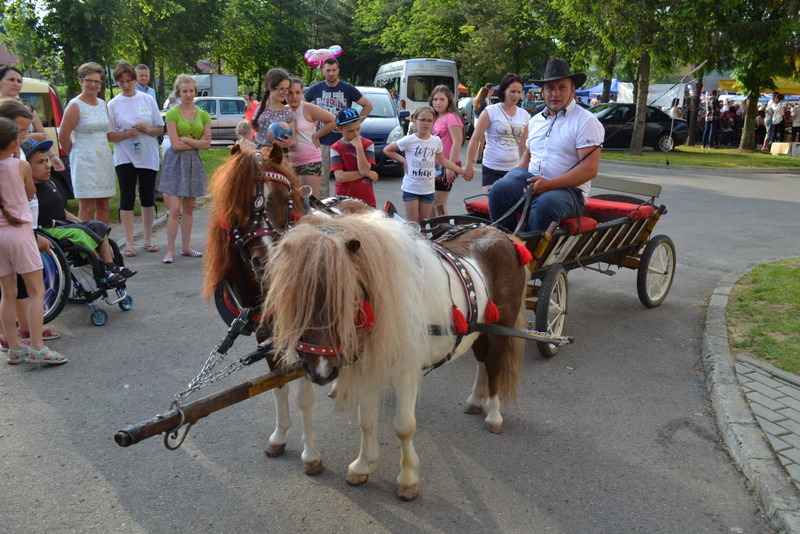 z48 Udany festyn integracyjny Stowarzyszenia „Pomocna Dłoń”