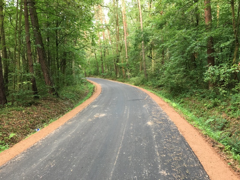 IMG 0267 Przebudowany leśny odcinek drogi Sutków Smęgorzów