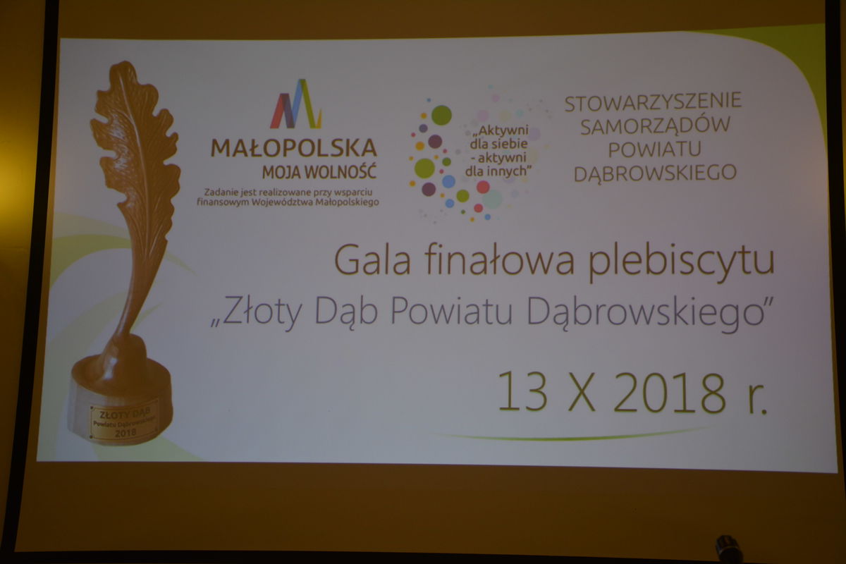 DSC 5155 8c39593e „Złoty Dąb Powiatu Dąbrowskiego” dla Football Academy Dąbrowa Tarnowska