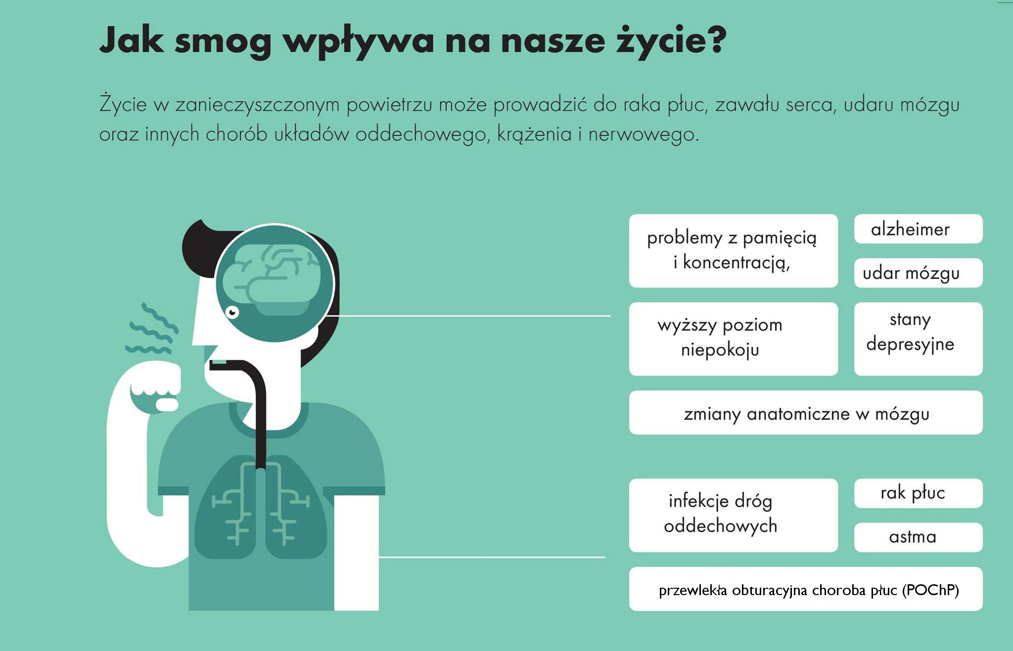 skutki smogu Bezwzględny zakaz palenia śmieci w piecach domowych