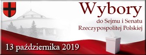 Wybory SISRP 2019 300x114 Głosowanie na gościnnych występach – dopisz się do spisu wyborców