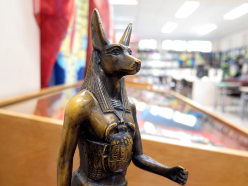 IMG 0981.JPGaa  Wystawa w MBP pt. „Przywiezione z wakacji”