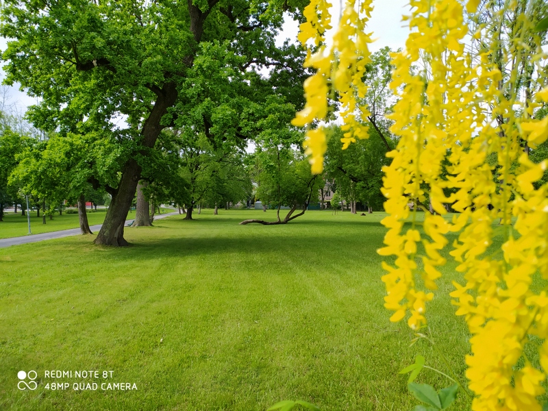 IMG 20200529 091727 Planowana renowacja „Placu Walczących o Niepodległą Polskę”
