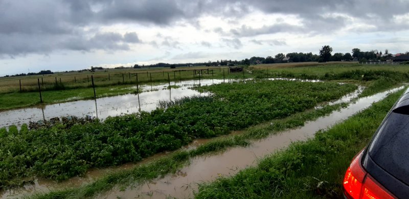 IMG 20200629 WA0041 Pogotowie przeciwpowodziowe na terenie gminy Dąbrowa Tarnowska