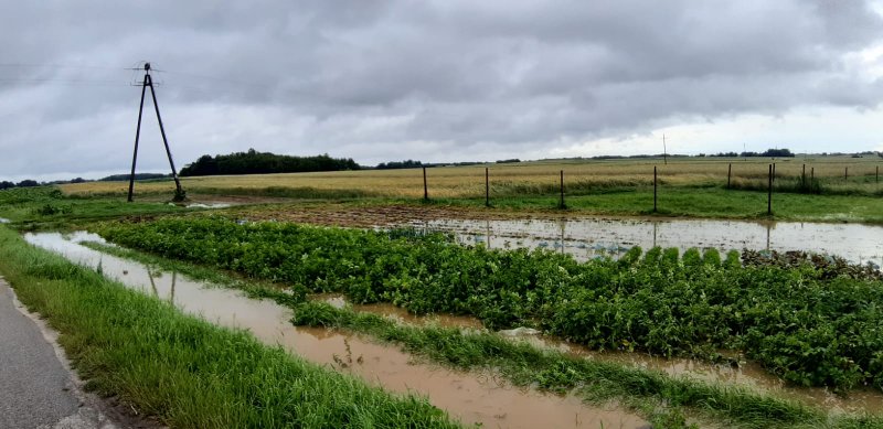 IMG 20200629 WA0059 Pogotowie przeciwpowodziowe na terenie gminy Dąbrowa Tarnowska