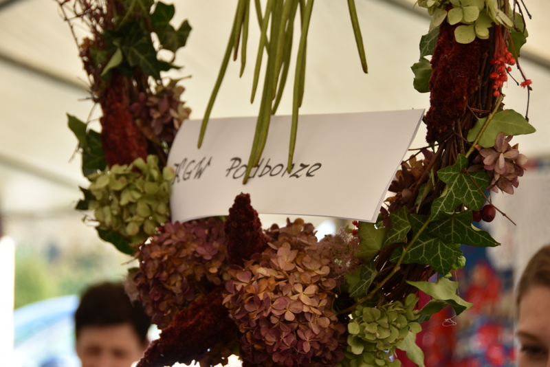 DSC 0021 Święto Ziemniaka w Smęgorzowie 2021