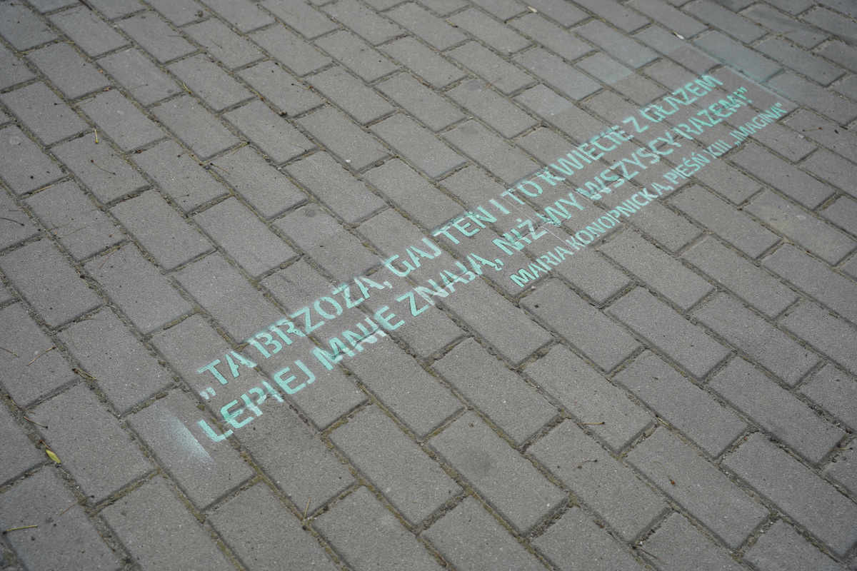 DSC4615 Happening pn. „Poezja wreszcie w mieście”