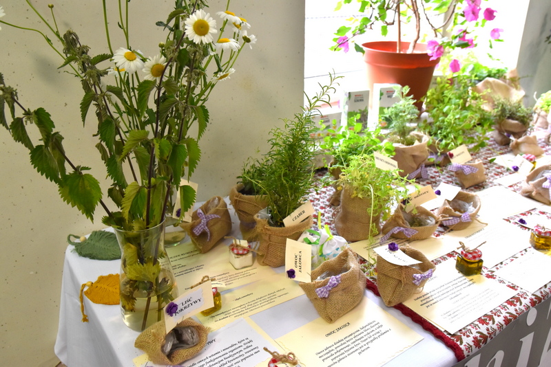 DSC 0926 W poszanowaniu tradycji – Festiwal Produktu Lokalnego i Rękodzieła Ludowego