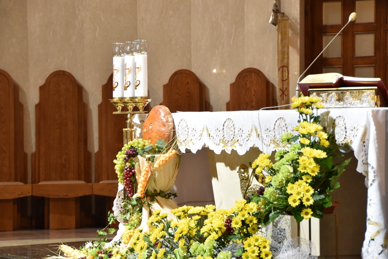 01 DSC 0647 Uroczystości Bożego Ciała w Dąbrowie Tarnowskiej