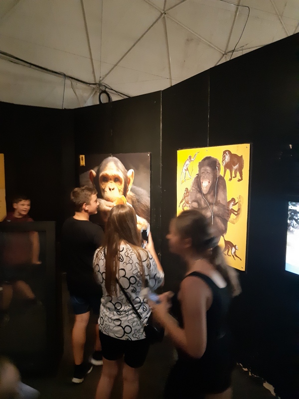 2 20220824 123121 40 dzieci na wycieczce i grze terenowej