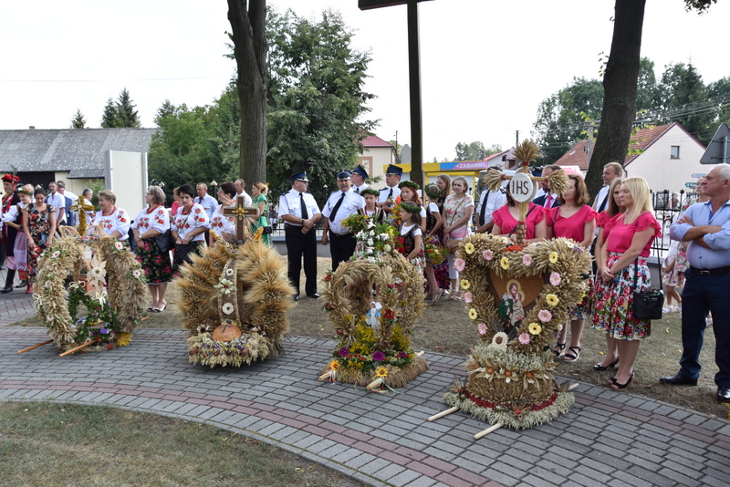 003 DSC 0900 Święto Powiśla Dąbrowskiego   Dożynki Powiatowe i Targi Gospodarcze   relacja