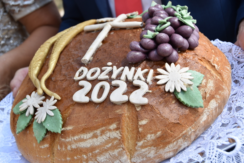 014 DSC 0918 Święto Powiśla Dąbrowskiego   Dożynki Powiatowe i Targi Gospodarcze   relacja