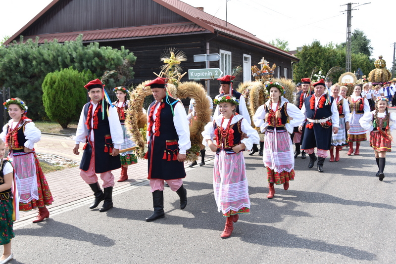034 DSC 0947 Święto Powiśla Dąbrowskiego   Dożynki Powiatowe i Targi Gospodarcze   relacja
