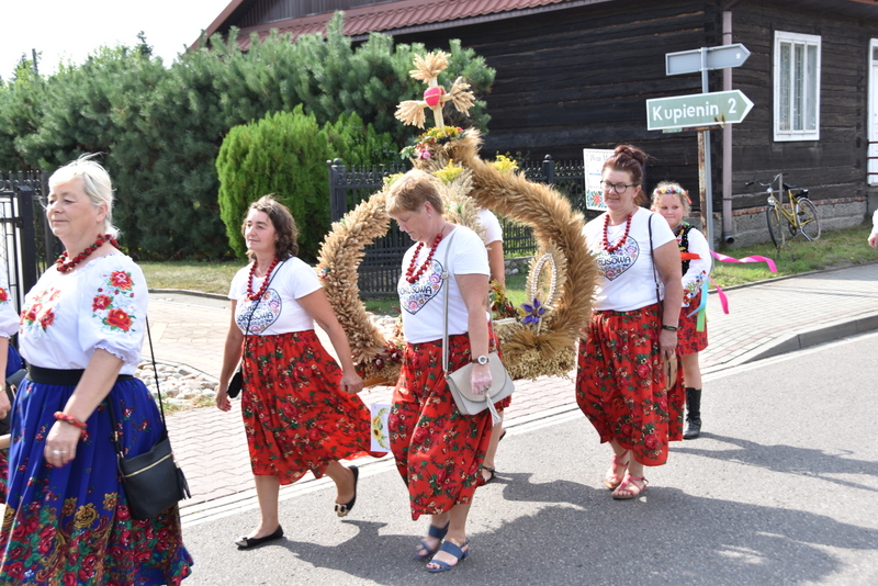 039 DSC 0952 Święto Powiśla Dąbrowskiego   Dożynki Powiatowe i Targi Gospodarcze   relacja