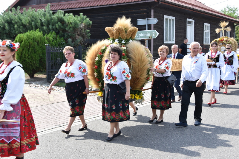 043 DSC 0956 Święto Powiśla Dąbrowskiego   Dożynki Powiatowe i Targi Gospodarcze   relacja