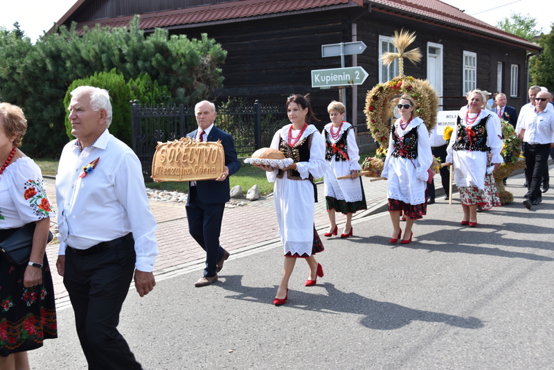 044 DSC 0957 Święto Powiśla Dąbrowskiego   Dożynki Powiatowe i Targi Gospodarcze   relacja