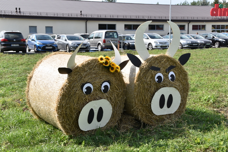 048 DSC 0970 Święto Powiśla Dąbrowskiego   Dożynki Powiatowe i Targi Gospodarcze   relacja