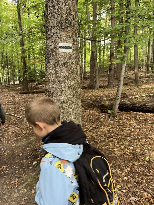 05 305653225 405203545099736 996924655713656444 n Wyjazd do Ojcowa