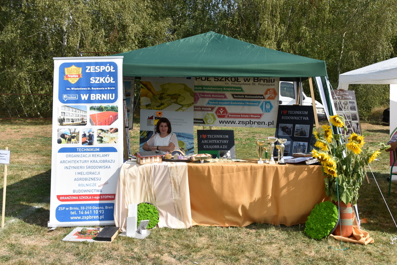 057 DSC 0984 Święto Powiśla Dąbrowskiego   Dożynki Powiatowe i Targi Gospodarcze   relacja