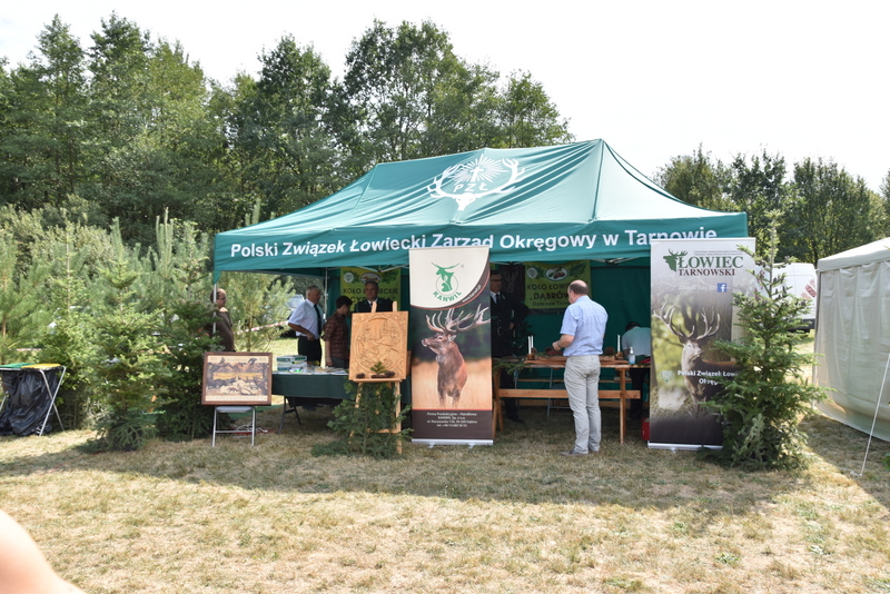 066 DSC 0996 Święto Powiśla Dąbrowskiego   Dożynki Powiatowe i Targi Gospodarcze   relacja