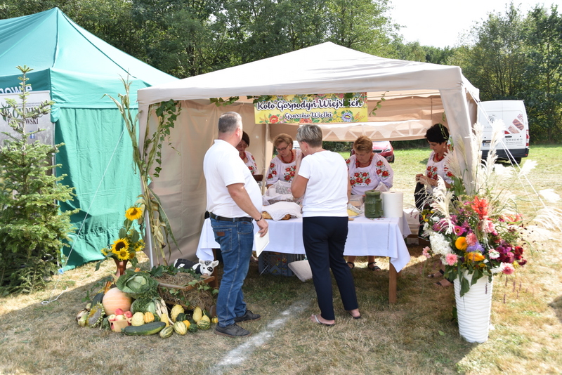 067 DSC 0997 Święto Powiśla Dąbrowskiego   Dożynki Powiatowe i Targi Gospodarcze   relacja