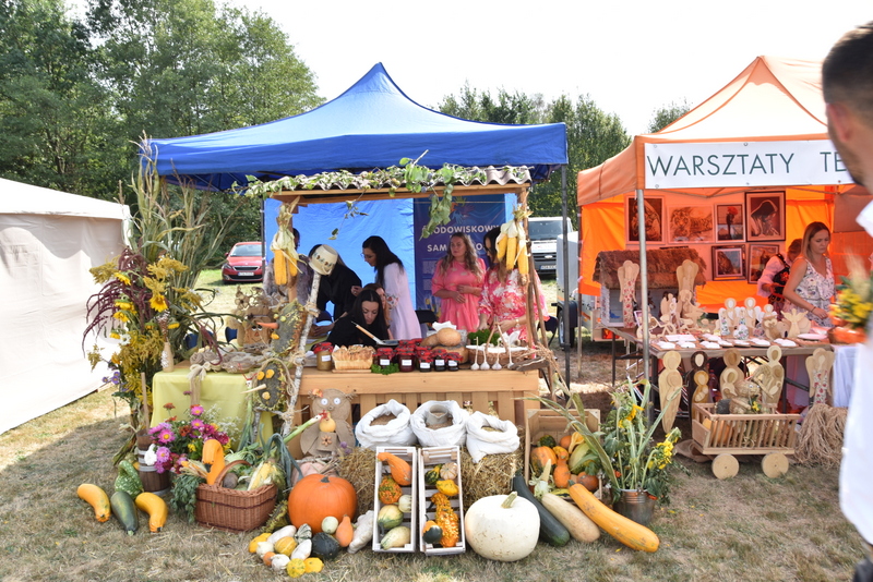 068 DSC 0998 Święto Powiśla Dąbrowskiego   Dożynki Powiatowe i Targi Gospodarcze   relacja