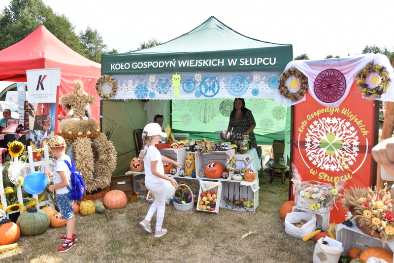 071 DSC 1002 Święto Powiśla Dąbrowskiego   Dożynki Powiatowe i Targi Gospodarcze   relacja