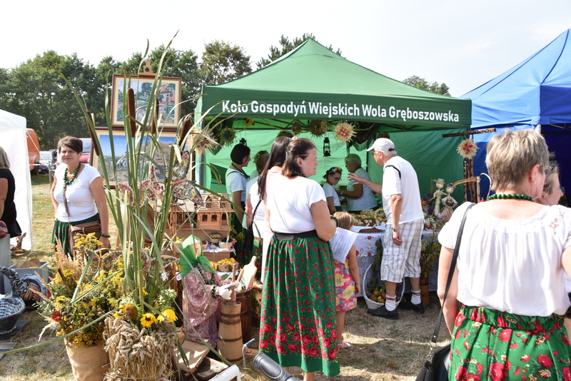 078 DSC 1013 Święto Powiśla Dąbrowskiego   Dożynki Powiatowe i Targi Gospodarcze   relacja