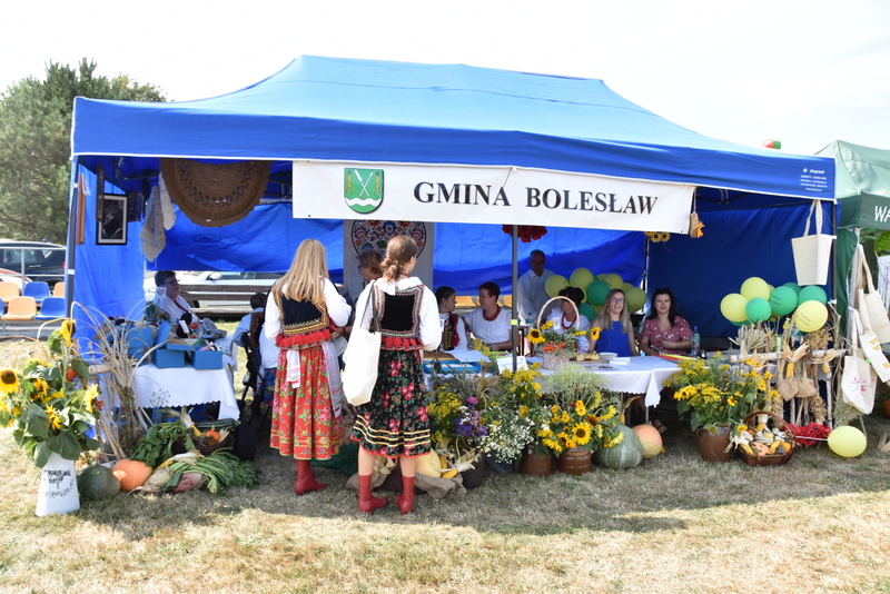 080 DSC 1017 Święto Powiśla Dąbrowskiego   Dożynki Powiatowe i Targi Gospodarcze   relacja