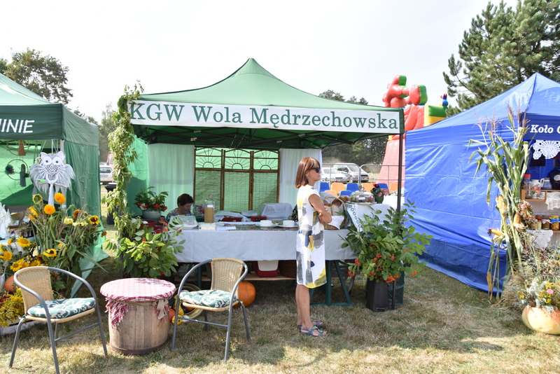 082 DSC 1023 Święto Powiśla Dąbrowskiego   Dożynki Powiatowe i Targi Gospodarcze   relacja