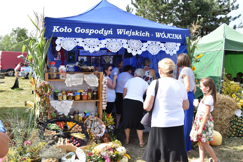 083 DSC 1025 Święto Powiśla Dąbrowskiego   Dożynki Powiatowe i Targi Gospodarcze   relacja