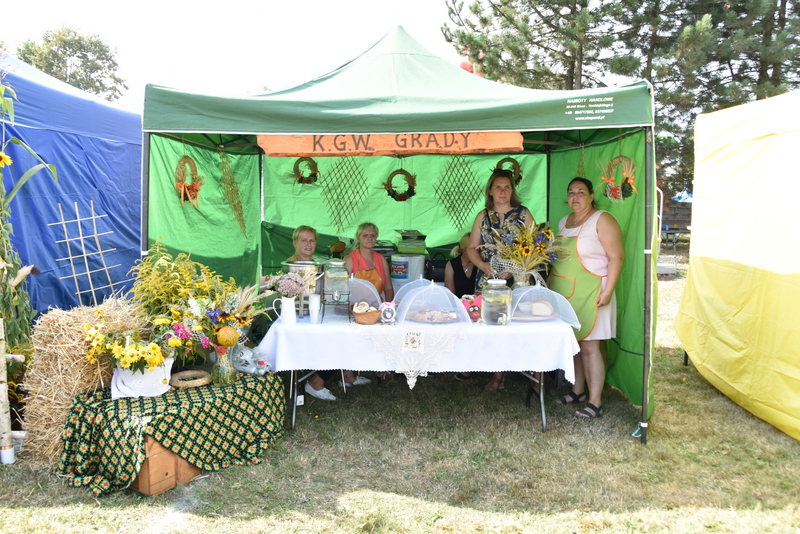 084 DSC 1027 Święto Powiśla Dąbrowskiego   Dożynki Powiatowe i Targi Gospodarcze   relacja