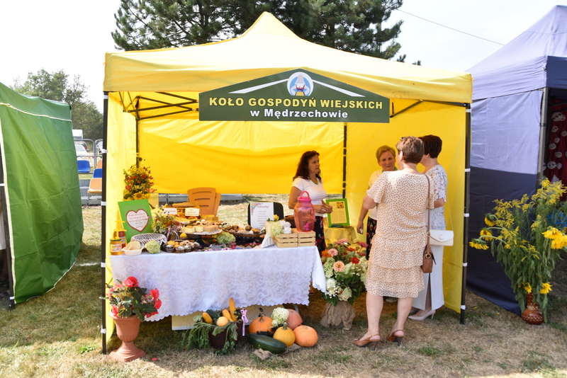 085 DSC 1028 Święto Powiśla Dąbrowskiego   Dożynki Powiatowe i Targi Gospodarcze   relacja