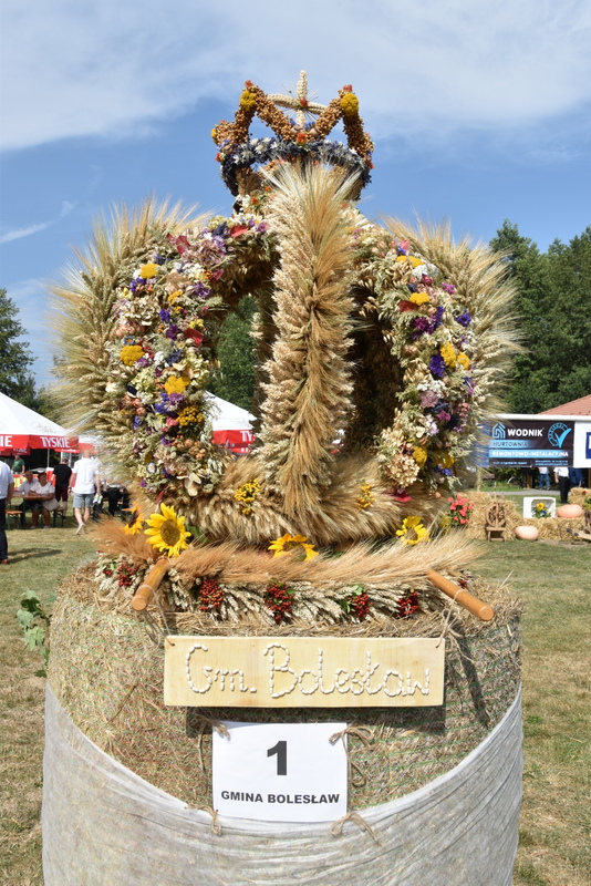 091 DSC 1041 Święto Powiśla Dąbrowskiego   Dożynki Powiatowe i Targi Gospodarcze   relacja