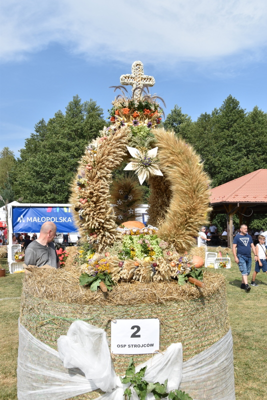 092 DSC 1043 Święto Powiśla Dąbrowskiego   Dożynki Powiatowe i Targi Gospodarcze   relacja