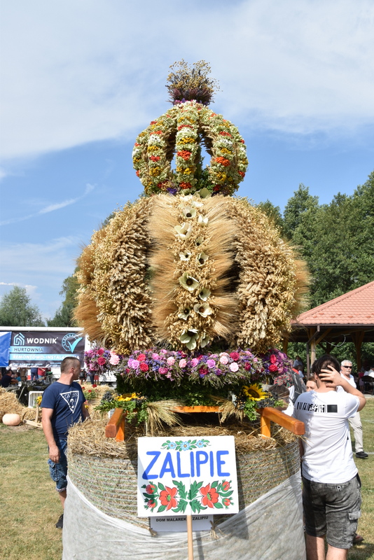093 DSC 1044 Święto Powiśla Dąbrowskiego   Dożynki Powiatowe i Targi Gospodarcze   relacja