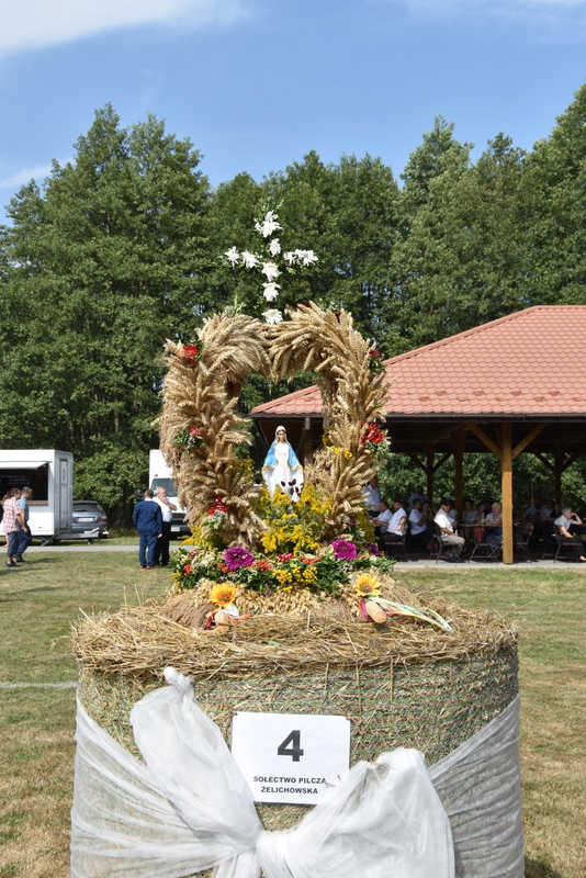 094 DSC 1046 Święto Powiśla Dąbrowskiego   Dożynki Powiatowe i Targi Gospodarcze   relacja